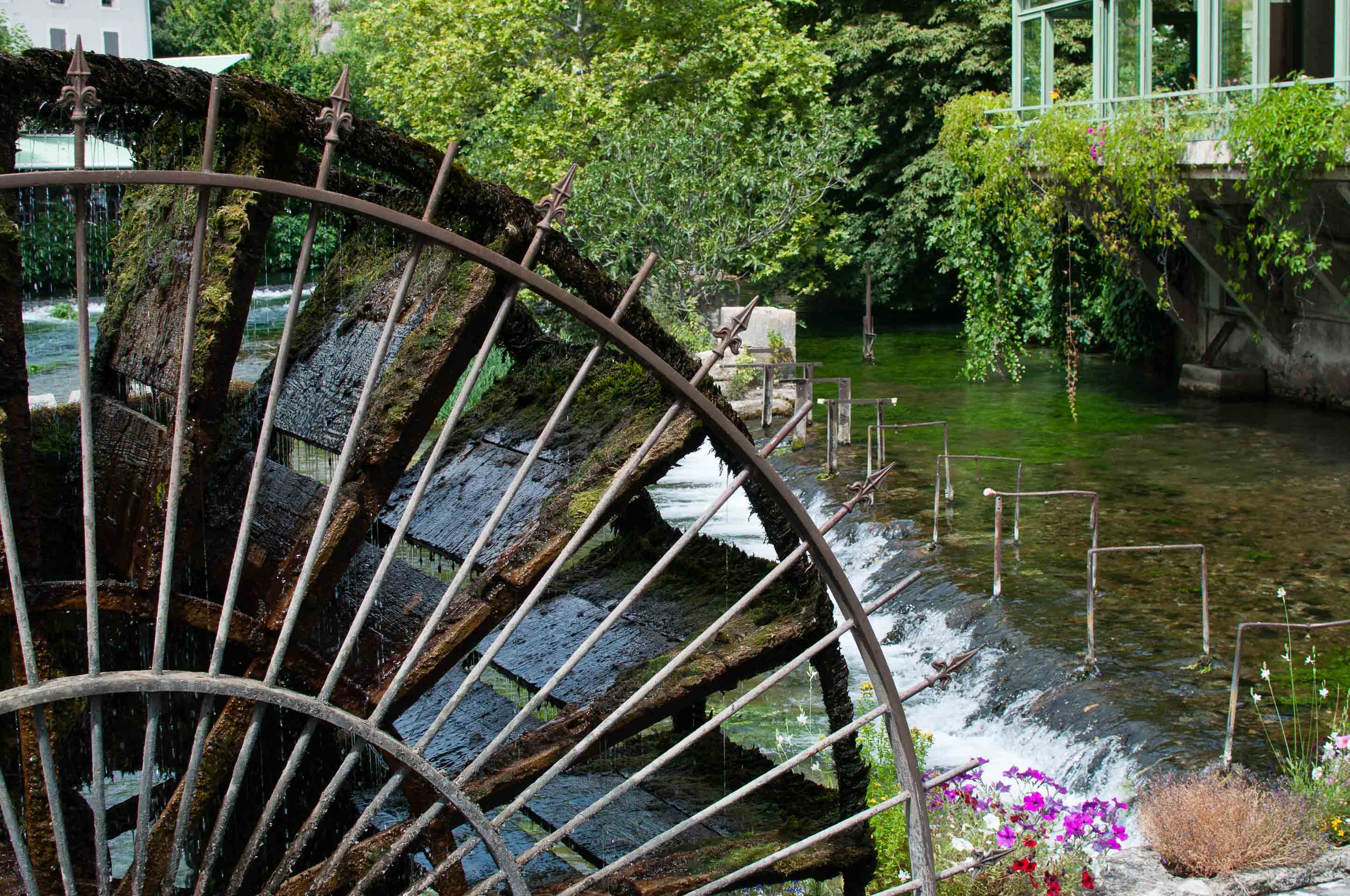 Fontaine de Vaucluse Mulino fiori